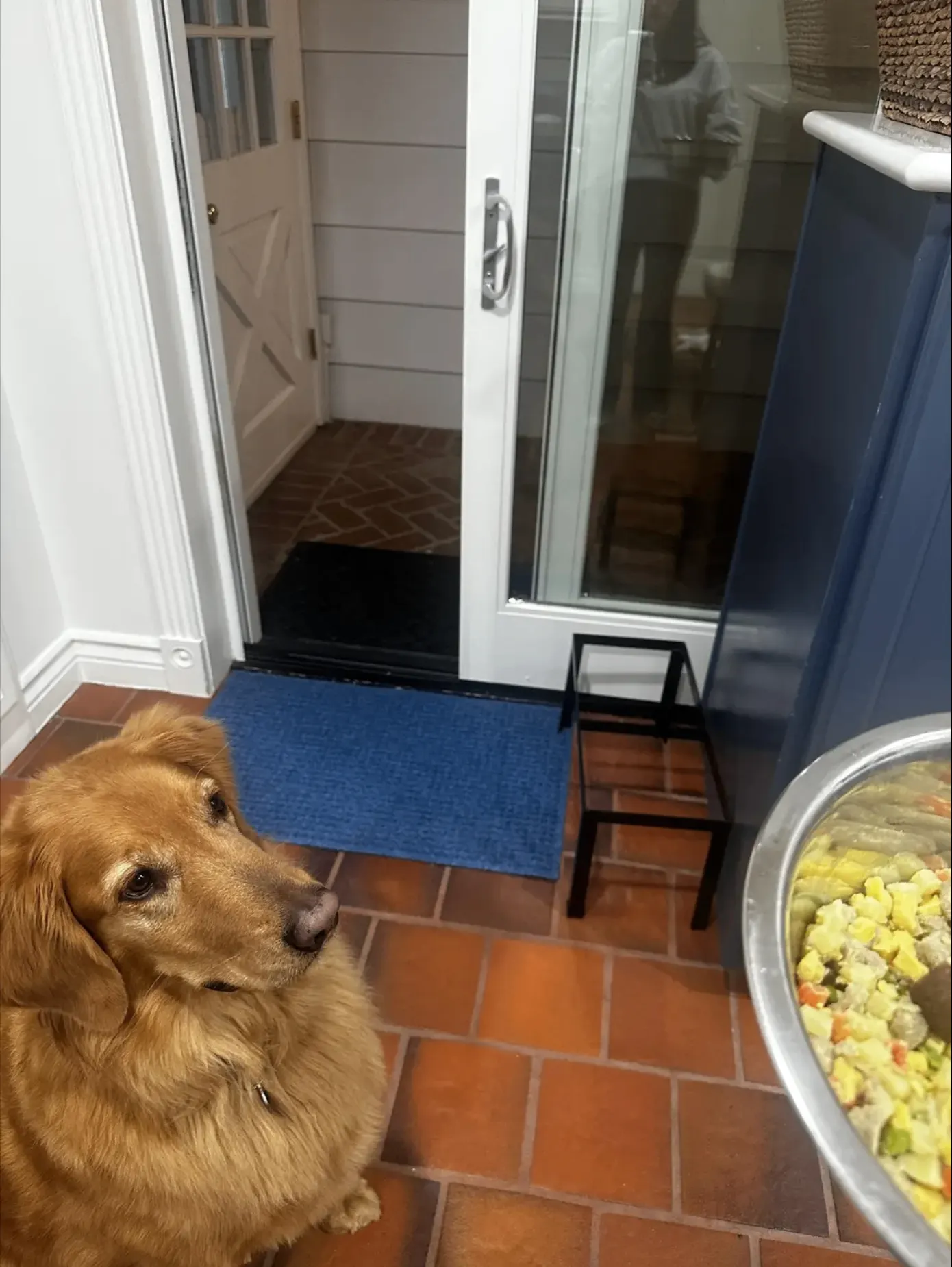 Golden retriever sitting by door